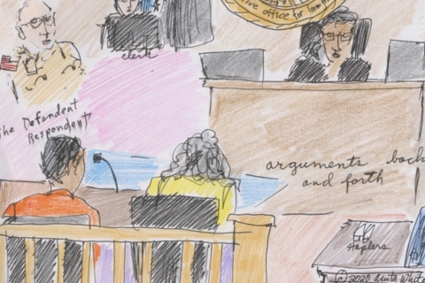 Immigration Court Sketch